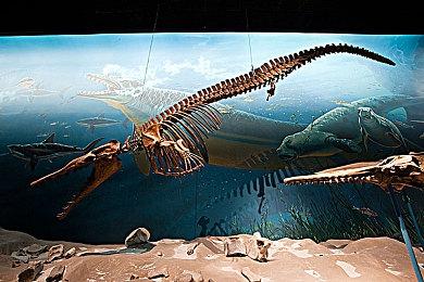 台积电遭攻击 黑客用数据威胁索要7000万美元赎金