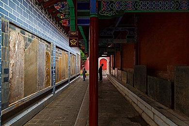 任天堂多人在线赛车游戏《F-Zero 99》发布全新赛道